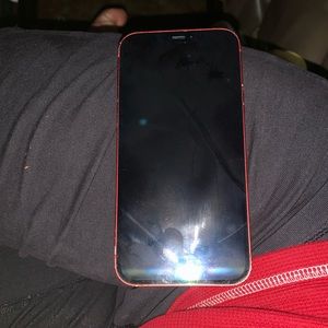 iPhone works perfect